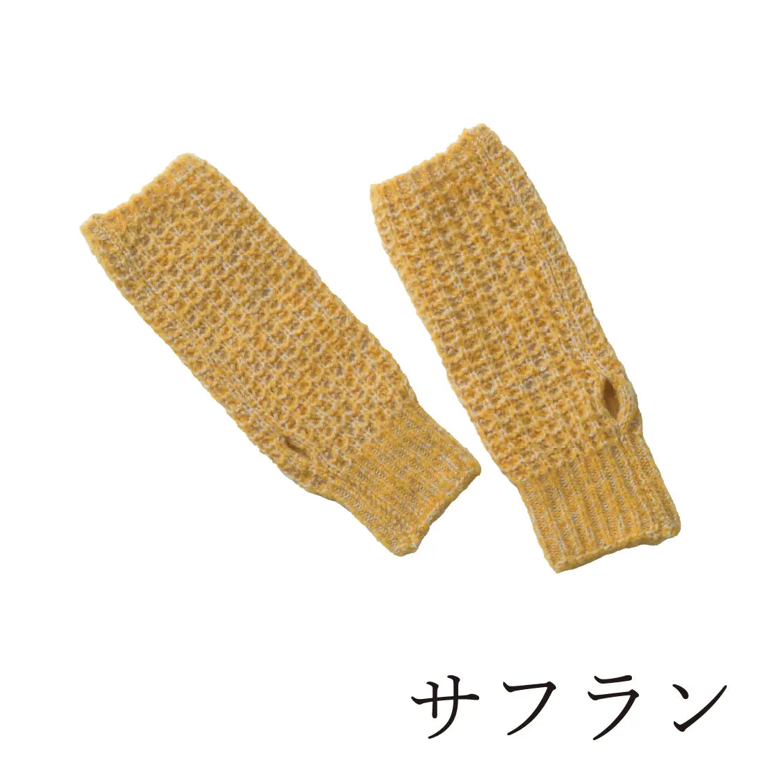 #カラー_06 サフラン