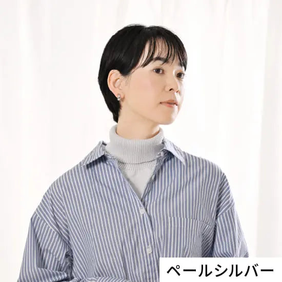 #カラー_17 ペールシルバー